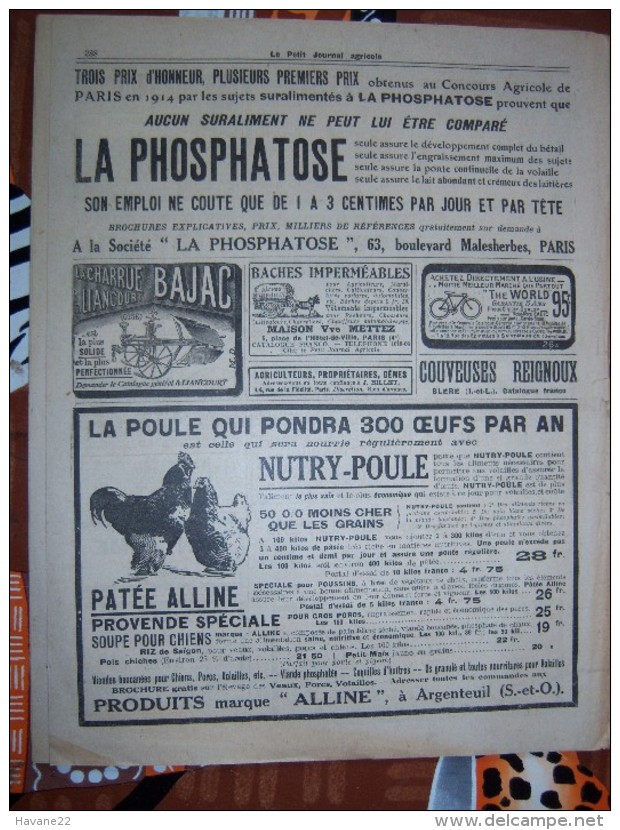 LE PETIT JOURNAL AGRICOLE 26/04/1914 AVEC PUB Chou De Bruxelles 16 PAGES Manque 1 Feuille - 1900 - 1949