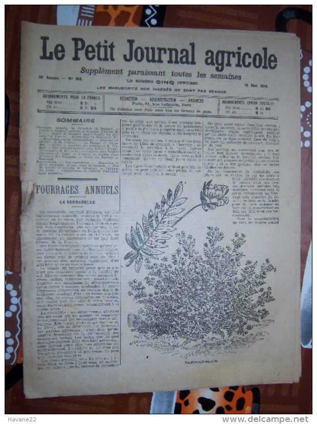 LE PETIT JOURNAL AGRICOLE 10/05/1914 AVEC PUB FOURRAGES ANNUELS 16 PAGES Manque 1 Feuille - 1900 - 1949