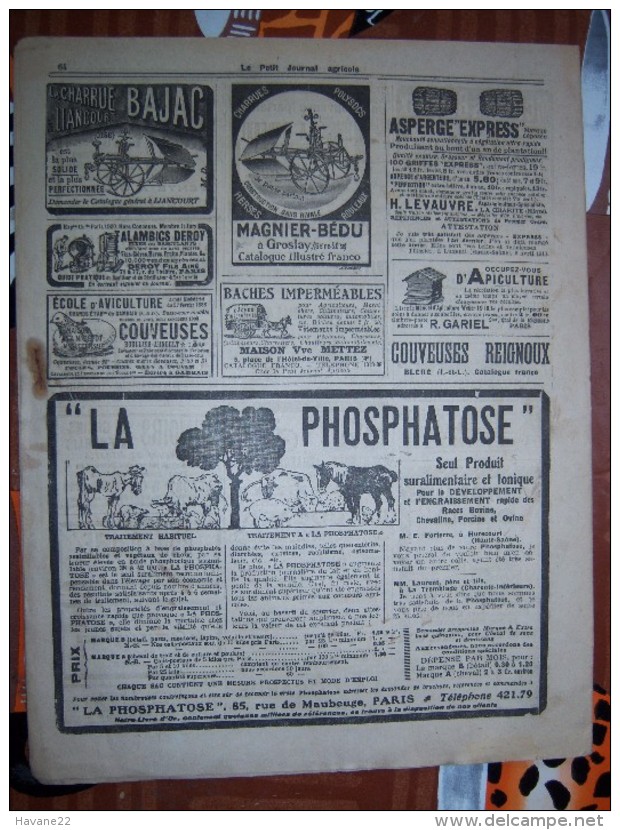 LE PETIT JOURNAL AGRICOLE 25/01/1914 AVEC PUB Les Fougeres De Serre 16 PAGES Manque 1 Feuille - 1900 - 1949