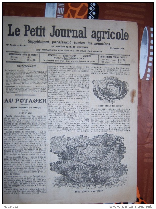 LE PETIT JOURNAL AGRICOLE 11/01/1914 AVEC PUB Chou Quintal D'Auvergne 16 PAGES Manque 1 Feuille - 1900 - 1949