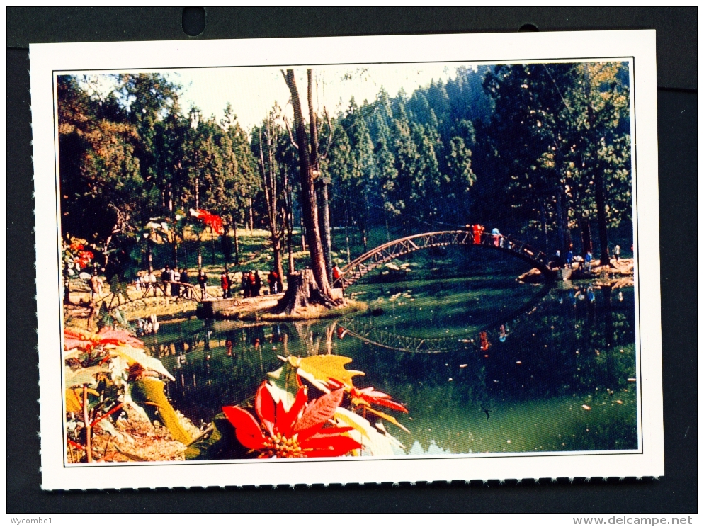 TAIWAN  -  Luku Chitou University Pond  Unused Postcard - Taiwan