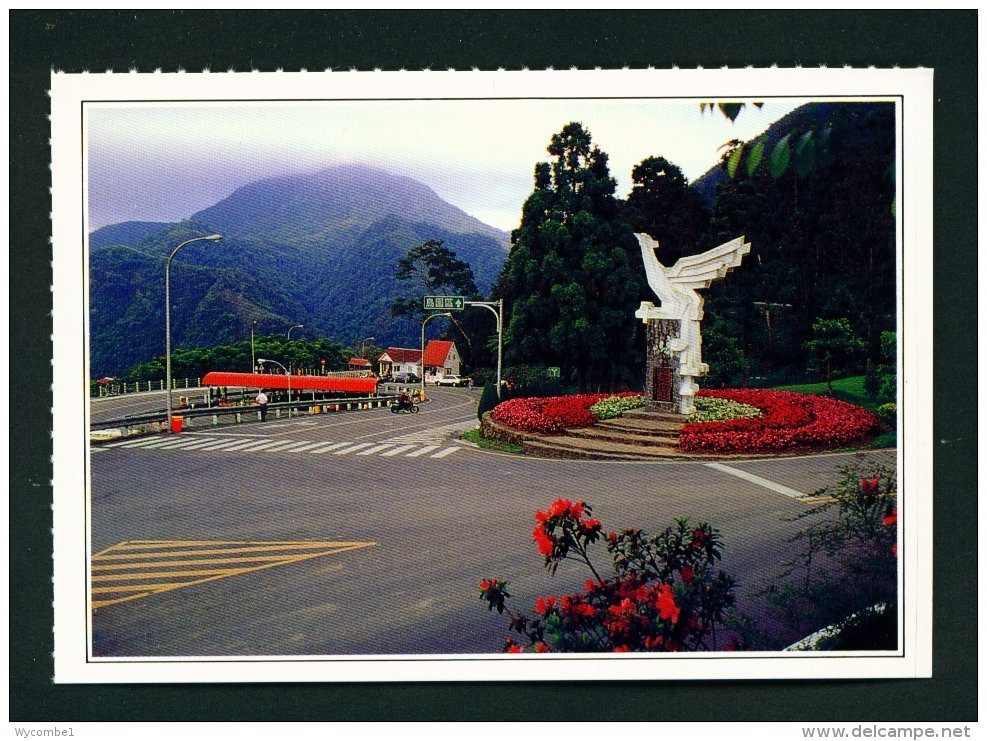 TAIWAN  -  Luku  Fenghuang Bird Garden  Unused Postcard - Taiwan