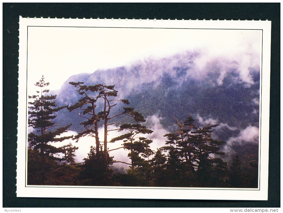 TAIWAN  -  Tayuling  Unused Postcard - Taiwan