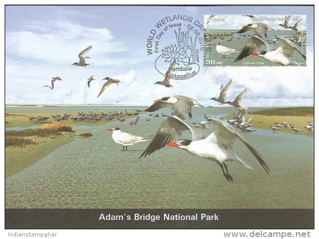 Maxim Card,,World Wetlands Day,Caspian Tern,Bridge National Park,Bird, Sri Lanka,First Day Cancelled - Ducks
