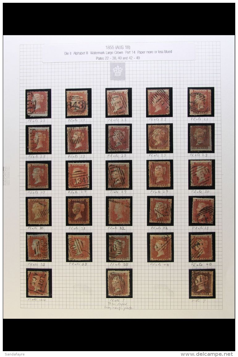 1855 - 1862 1D REDS WATERMARK LARGE CROWN PLATED COLLECTION. A Collection Of Used 1d Red 'stars' Perforated &amp;... - Otros & Sin Clasificación