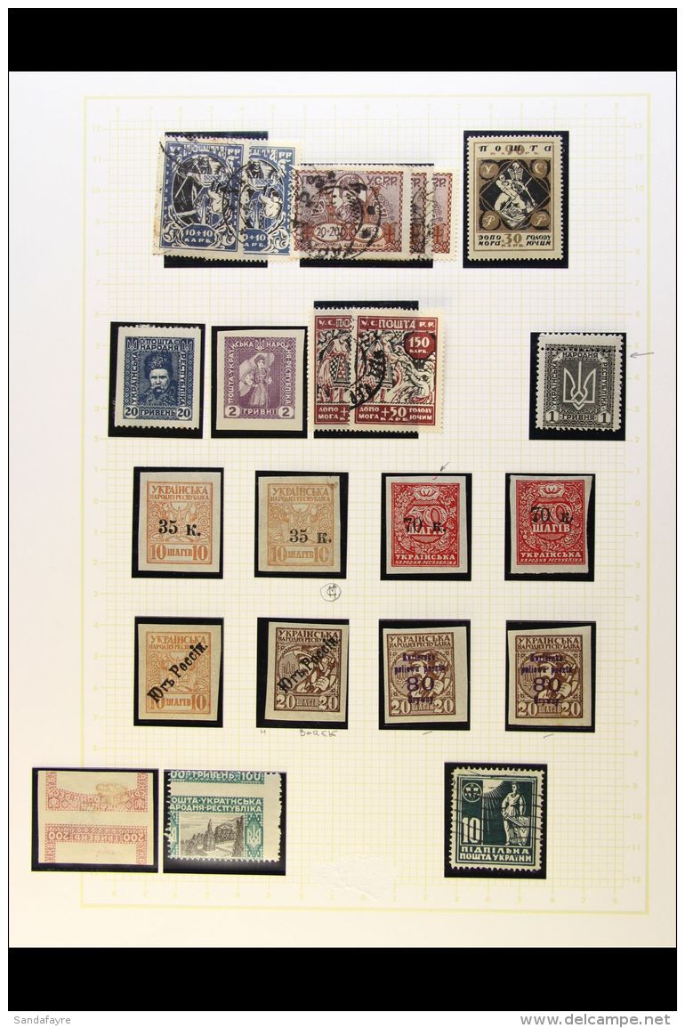 1919 - 1924 'BACK OF THE BOOK' Interesting Stamps On Several Album Pages Include Listed &amp; Unlisted Surcharges,... - Ukraine