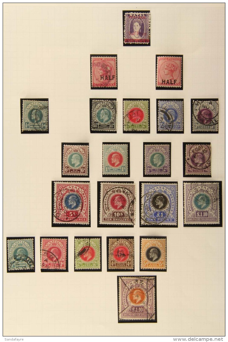 NATAL 1861-1909 Collection On Album Pages. Includes 1861-62 3d Used, 1863 Thick Paper Used, 1869 Postage Opt's 1d,... - Sin Clasificación