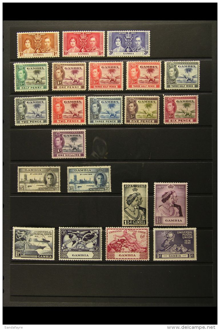 1937-82 VERY FINE MINT COLLECTION On Stock Pages. All Different With KGVI Defins To 1s, 1948 RSW Set, QEII... - Gambia (...-1964)