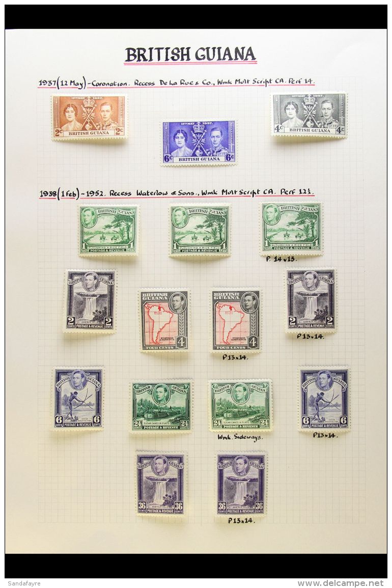 1937-1951 COMPLETE VERY FINE COLLECTION On Leaves, Inc 1938-52 Set With All Shades &amp; Perf Types (ex The Rare... - Guyana Britannica (...-1966)