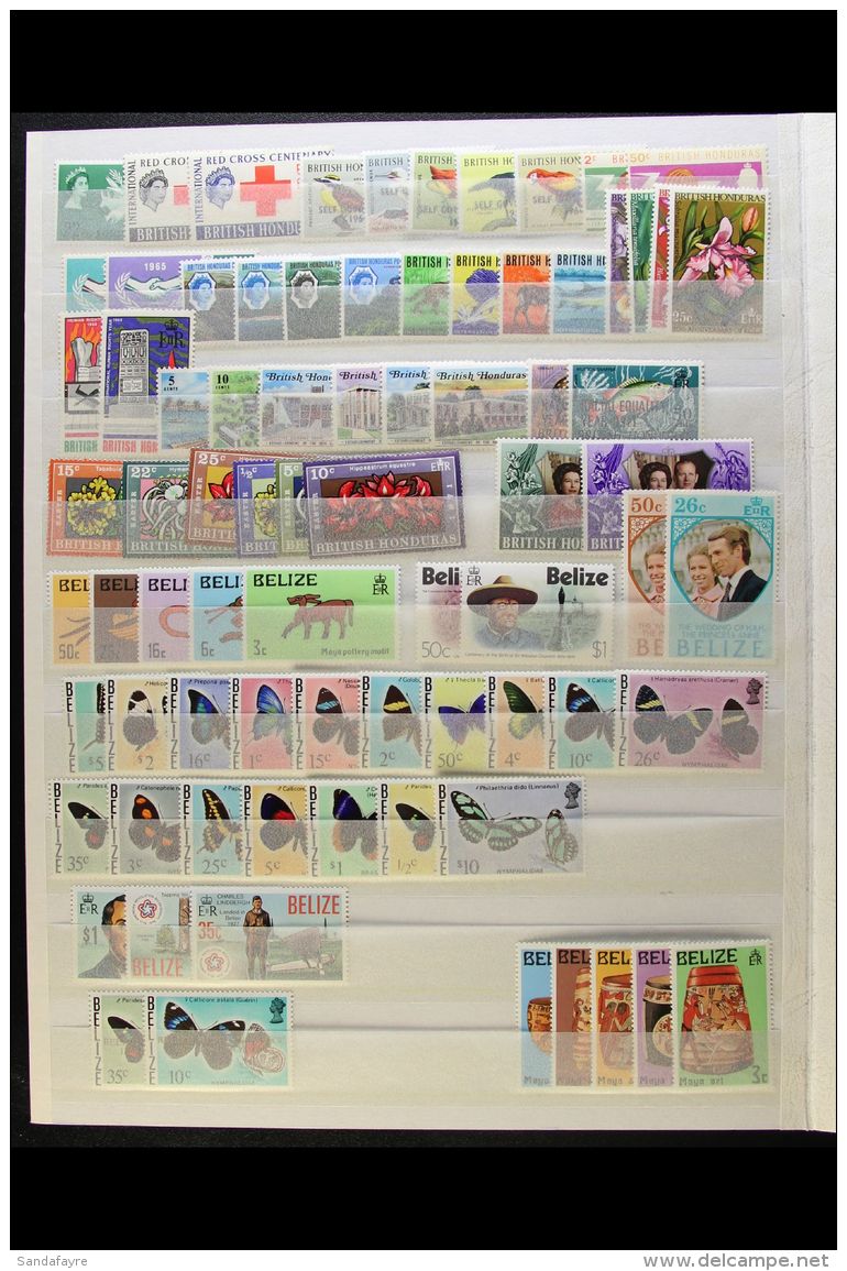 1963-1987 NEVER HINGED MINT COLLECTION On Stock Pages, ALL DIFFERENT Complete Sets, Inc A Few British Honduras... - Belice (1973-...)