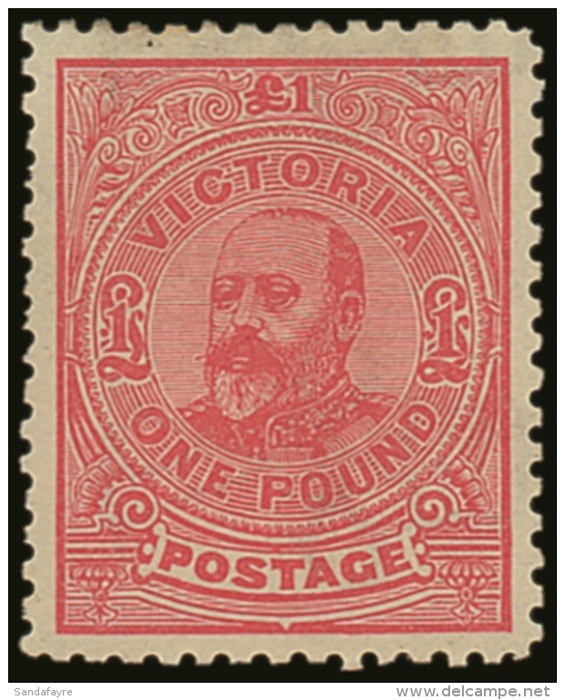 VICTORIA 1900-10 &pound;1 Rose Perf 11, SG 407, Very Fine Mint, Slightly Short Perf At Left. For More Images,... - Otros & Sin Clasificación