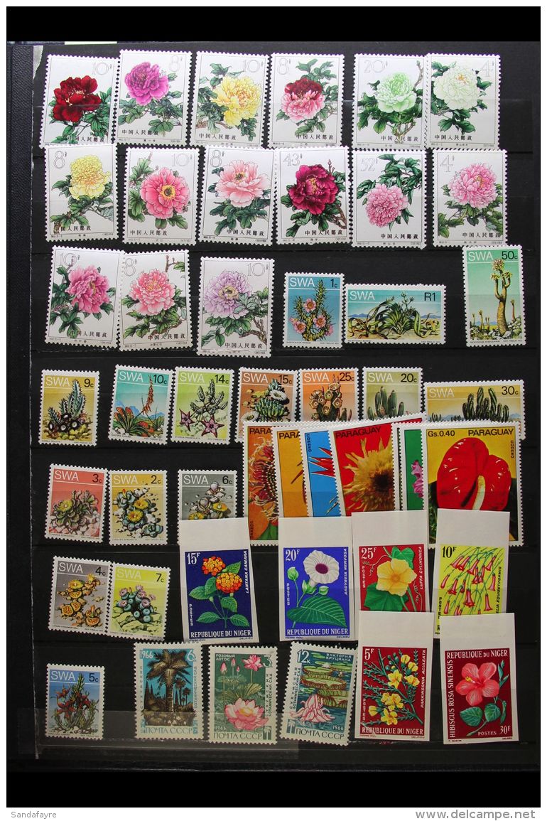 FLOWERS ON STAMPS An Untidy Mint Or Used World Collection Arranged In A Stock Album With Most Of The Mint Stamps... - Ohne Zuordnung