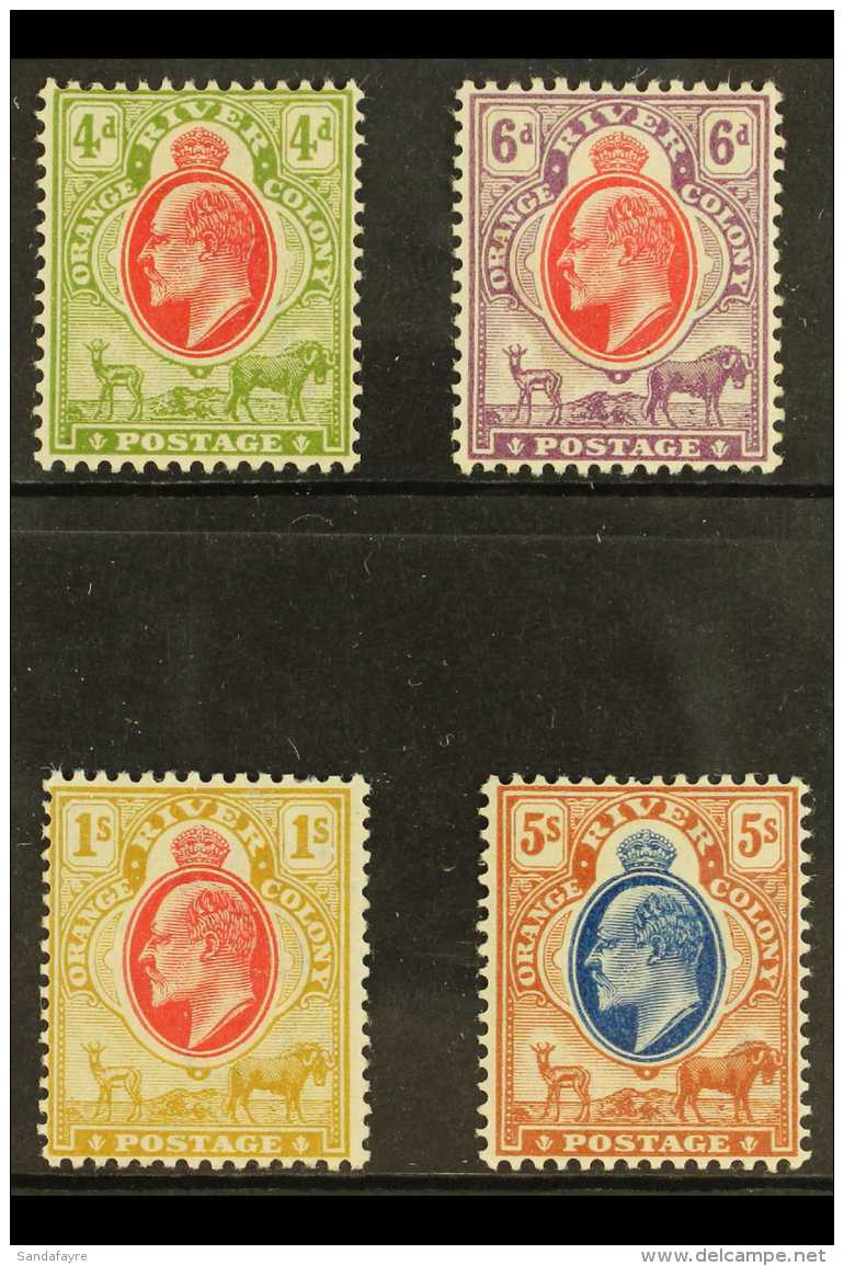 ORC 1903-04 4d To 5s Top Values Set, SG 144/47, Mint (4) For More Images, Please Visit... - Ohne Zuordnung