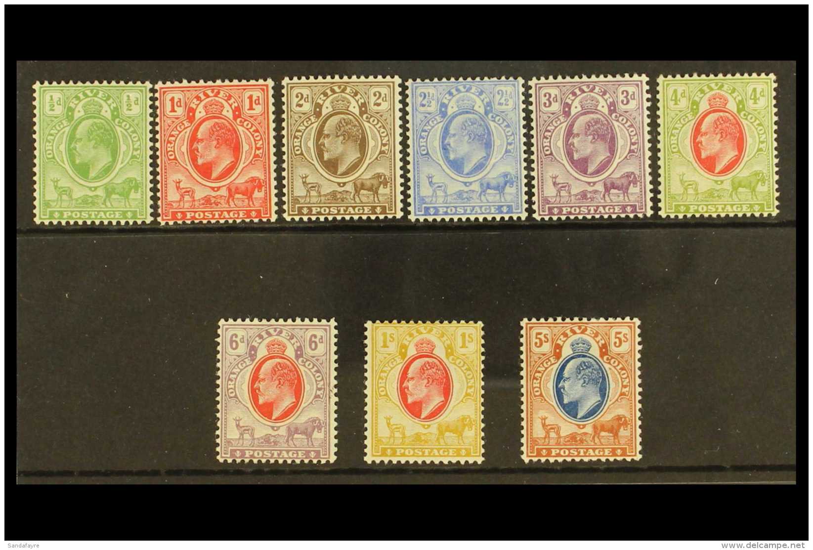 ORANGE RIVER COLONY 1903-04 Complete Set,SG 139/47,vfm,fresh (9) For More Images, Please Visit... - Sin Clasificación