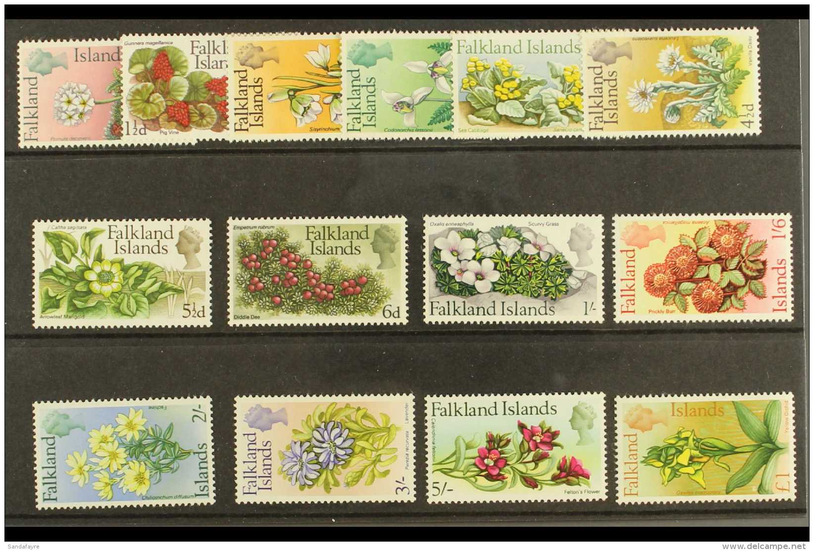 1968 Flowers Complete Set, SG 232/45, NHM (14) For More Images, Please Visit... - Falkland