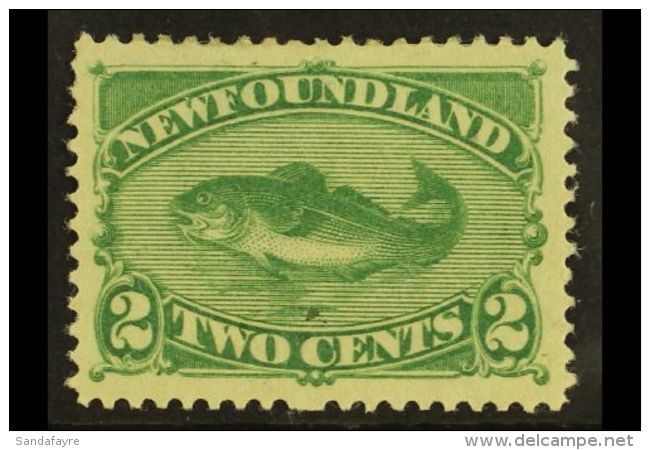 1896 2c Green Codfish, SG 64, Vf Mint. For More Images, Please Visit... - Other & Unclassified