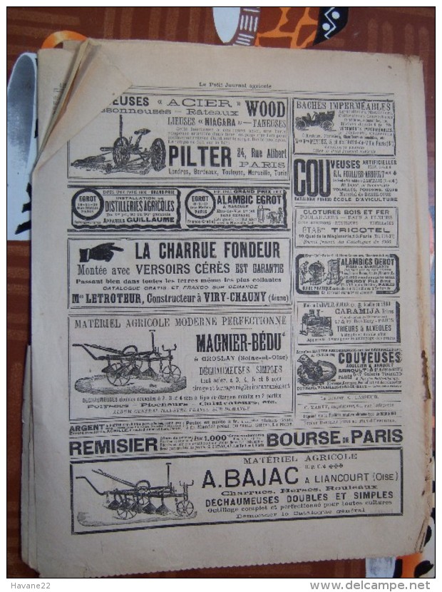 LE PETIT JOURNAL AGRICOLE 08/07/1903 AVEC PUB 16 PAGES PLANCHE COULEUR CHAMPIGNONS - 1900 - 1949