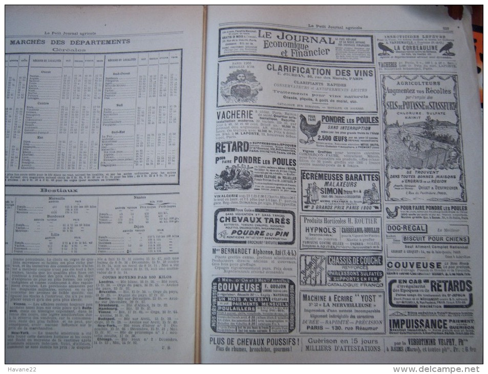 LE PETIT JOURNAL AGRICOLE 30/12/1906 AVEC PUB 16 PAGES RADIOCULTURE - 1900 - 1949