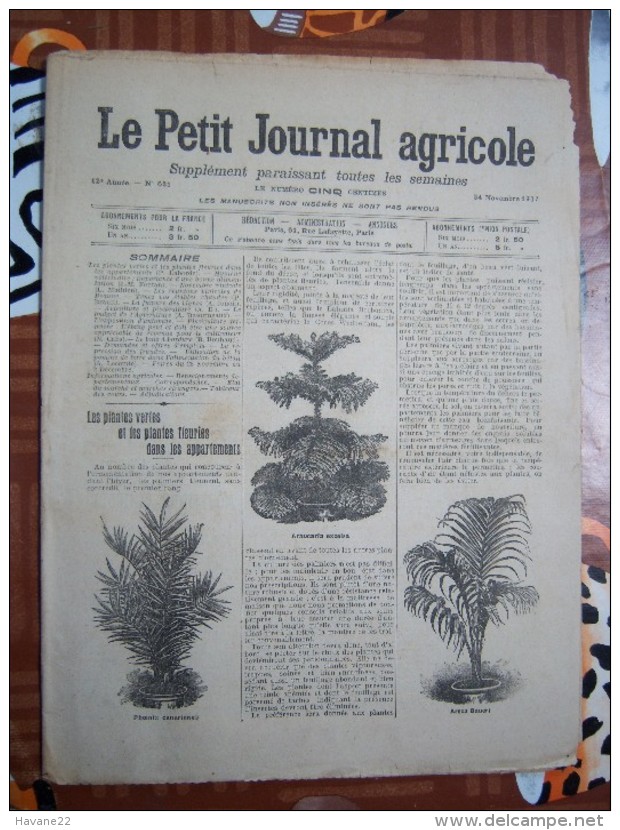 LE PETIT JOURNAL AGRICOLE 22/12/1907 AVEC PUB 16 PAGES ARBORICULTURE FRUITIERE - 1900 - 1949