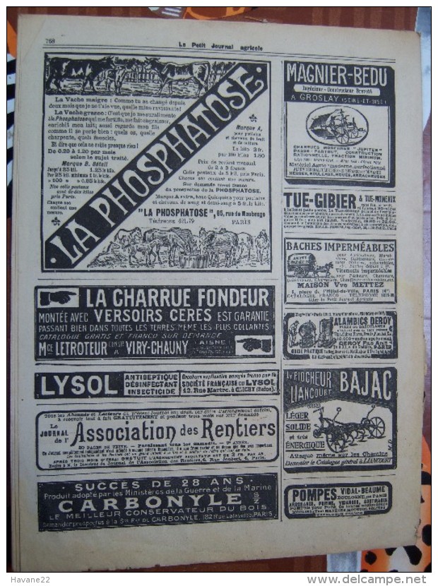 LE PETIT JOURNAL AGRICOLE 19/11/1911 AVEC PUB 16 PAGES   Manque 1 Feuille Plantation Fruitiere Pour Garniture - 1900 - 1949