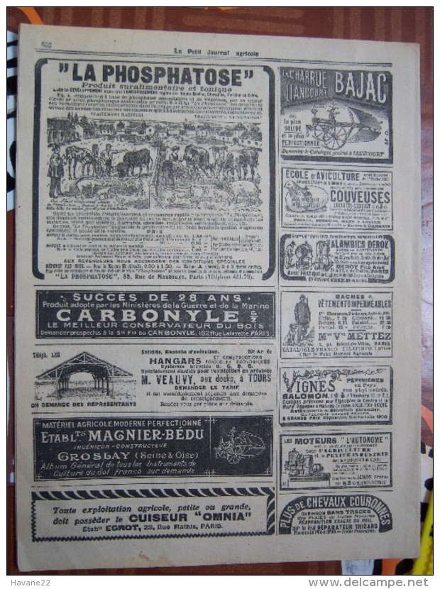 LE PETIT JOURNAL AGRICOLE 8/12/1912 AVEC PUB 16 PAGES   Manque 1 Feuille LE COCOTIER - 1900 - 1949