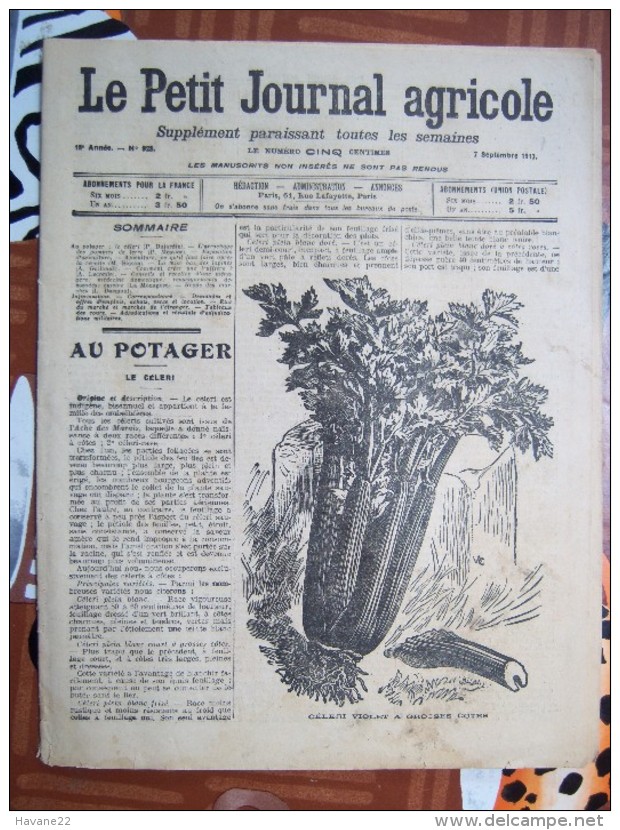 LE PETIT JOURNAL AGRICOLE 7/09/1913 AVEC PUB 16 PAGES LE CELERI Manque 1 Feuille - 1900 - 1949