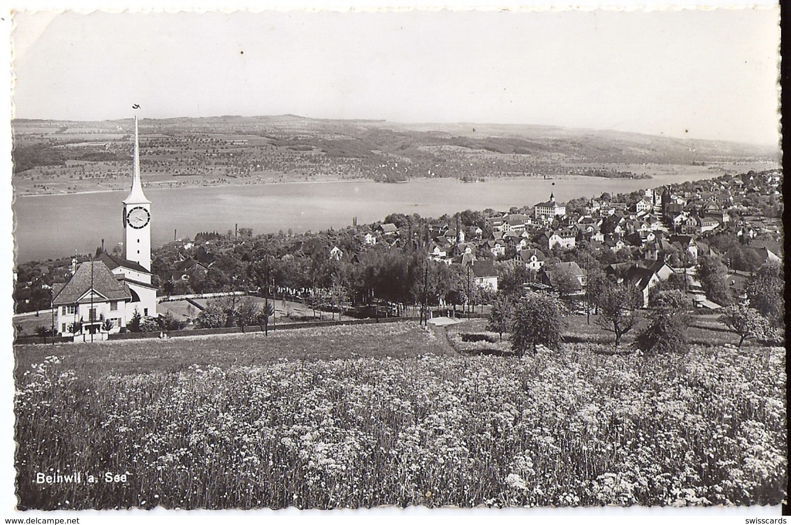 BEINWIL: Sommeransicht Mit Dorf Und See 1940 - Beinwil Am See