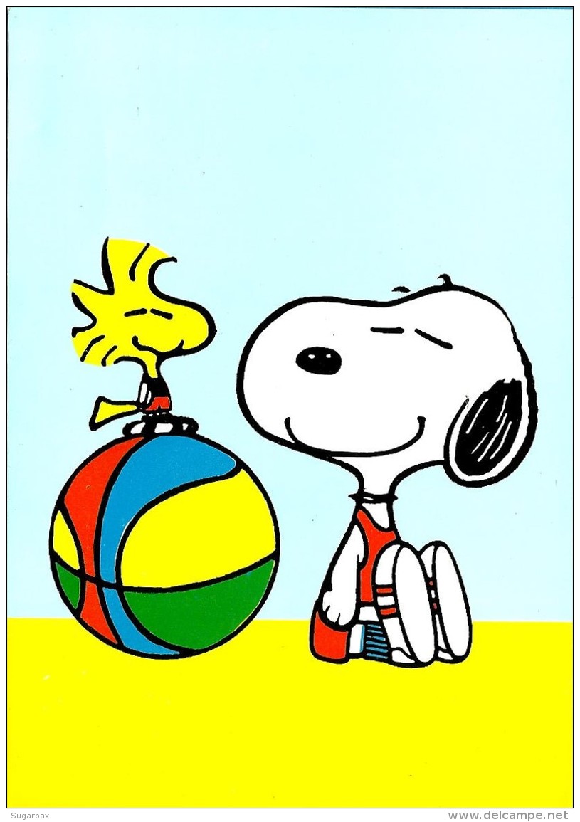 SNOOPY &amp; Woodstock On The Beach With A Ball - Peanuts Hallmark - Illust. Schulz - Portugal - Autres & Non Classés