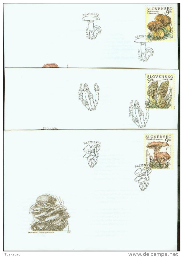 Slovakia 1997, FDC Covers Mushrooms Mi.# 289-291, Ref.bbzg - FDC