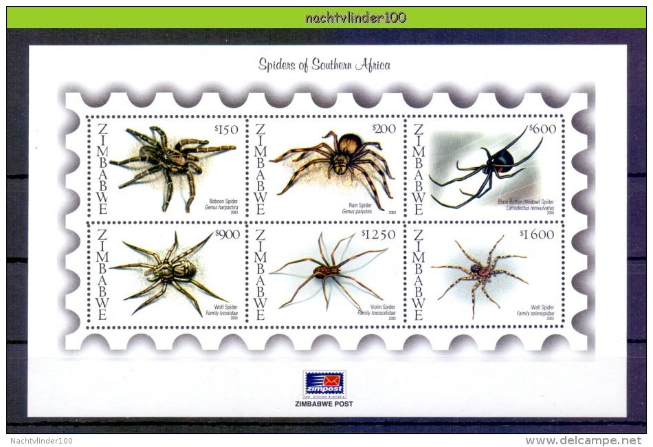 Ncx008b FAUNA 'INSECTEN INSECTS' SPINNEN SPIDERS ARAIGNÉE ARAÑA RAGNO QWZ 2003 PF/MNH - Spinnen