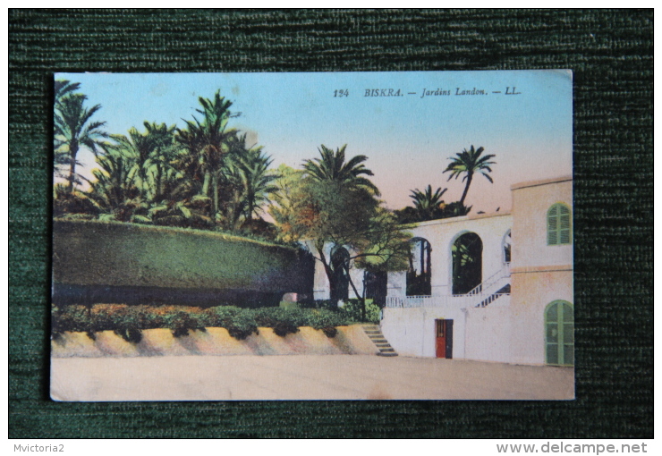 BISKRA - Jardins Landon - Biskra