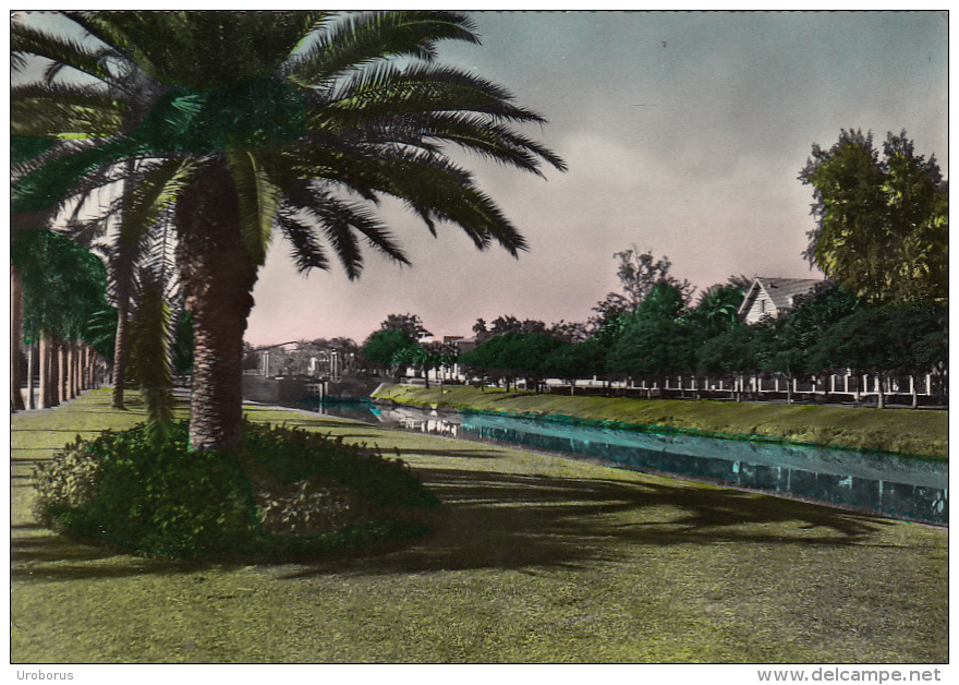 EGYPT - Ismailia - Jardins - Gardens - Ismailia