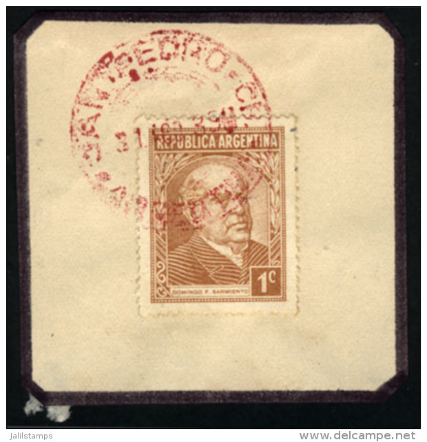 GJ.736, On Fragment With Cancel Of SAN PEDRO (Córdoba) In Red, VF! - Andere & Zonder Classificatie