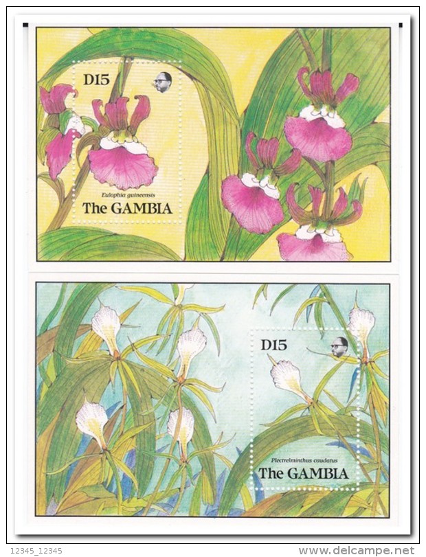 Gambia 1989, Postfris MNH, Flowers, Orchids - Gambia (1965-...)