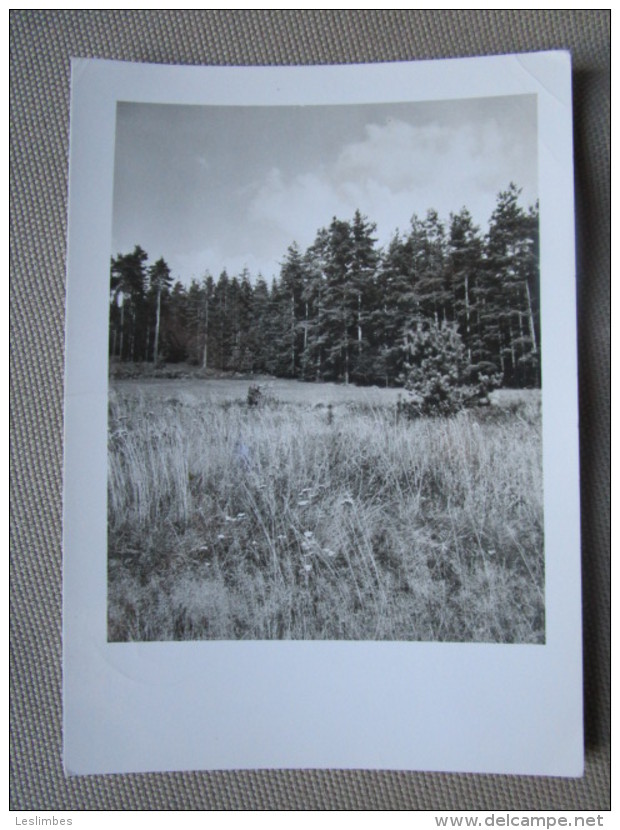 Veb Bild Und Heimat Reichenbach I. V. Foto Kossatz, Plauen - Reichenbach I. Vogtl.