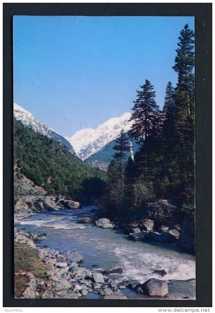 PAKISTAN  -  Gilgit  Nultar Valley  Unused Postcard - Pakistan