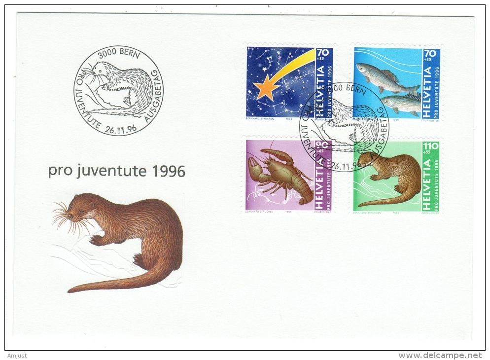 Suisse /Schweiz/Switzerland/ Pro-Juventute 1996 //  Lettre // FDC 1er Jour Oblitération Bern - Lettres & Documents