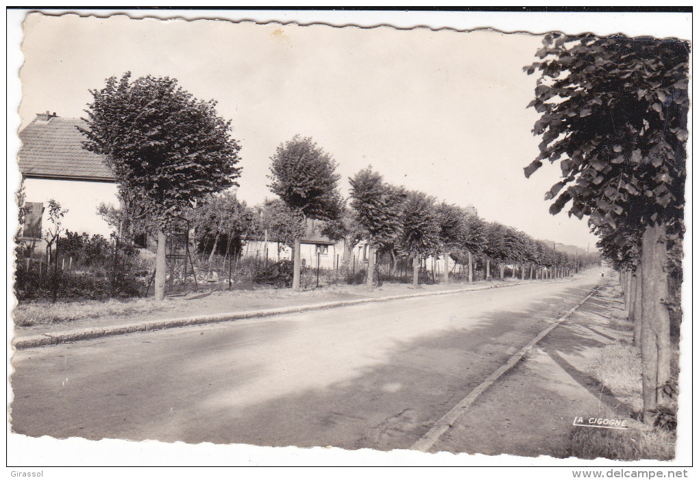 CPSM THOUROTTE OISE AVENUE DU MARECHAL FOCH 1954 - Thourotte