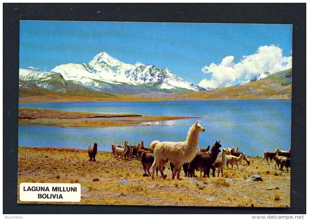 BOLIVIA  -  Laguna Milluni  Unused Postcard - Bolivia