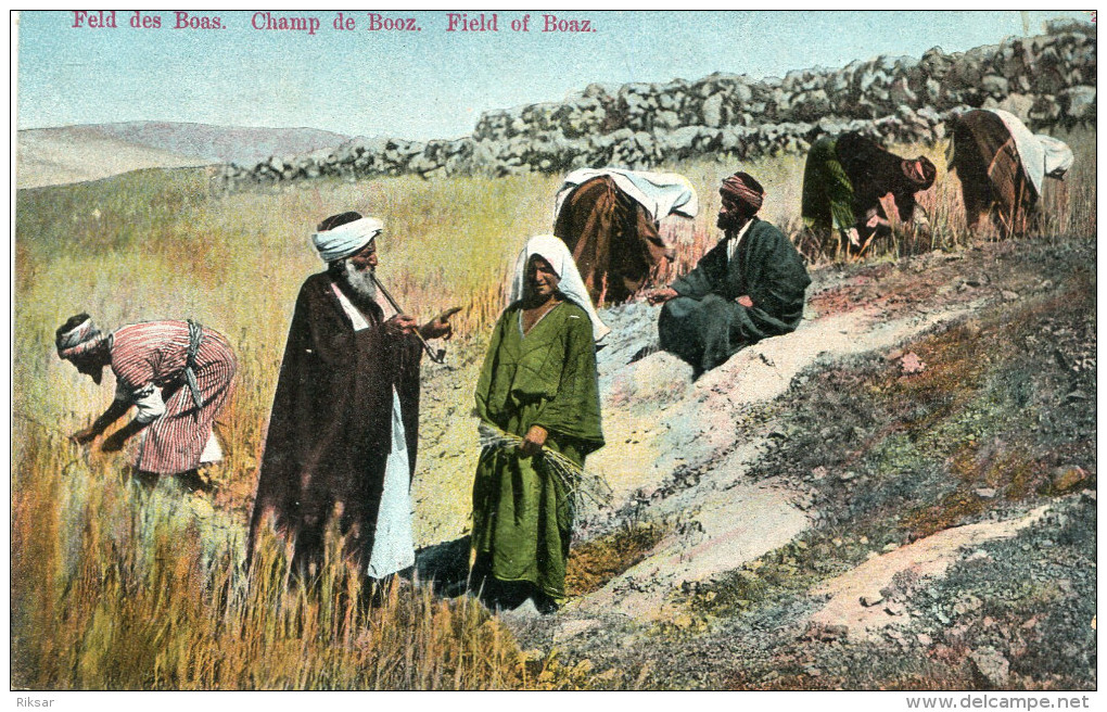 PALESTINE(TYPE) CULTIVATEUR - Palestina