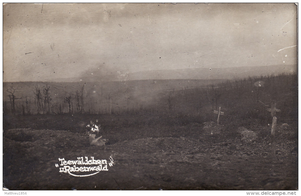 CP Photo 14-18 LE BOIS DES CAURES (Rabenwald, Près Verdun) - Une Vue Du Champ De Bataille, Tombe (A148, Ww1, Wk 1) - Autres & Non Classés