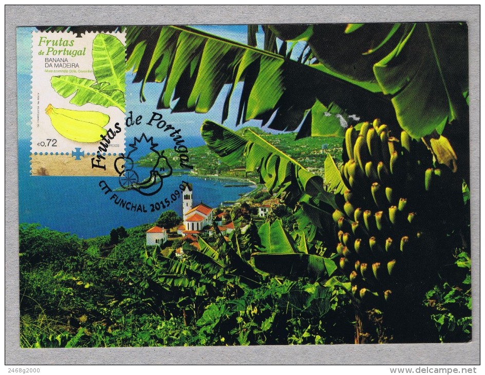 Banana Banane Platano Fruits Madeira Island Portugal Carte Maximum Cards Mc598 - Fruits