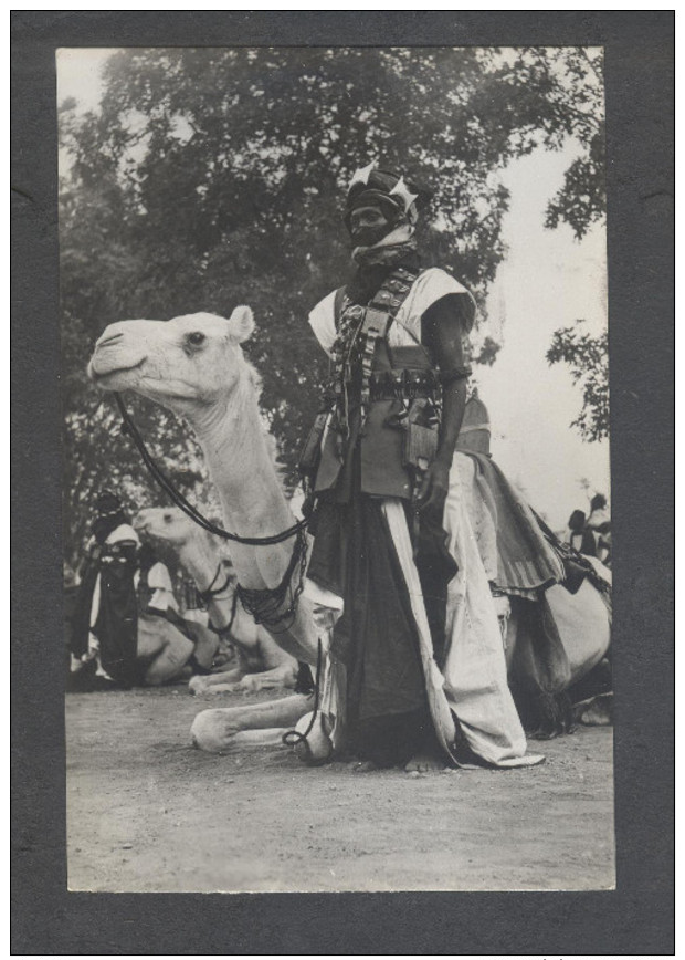 NIGER Partisan Méhariste Oblitération AOF - Aéropostale DAKAR - CASABLANCA 1925 - 1950 Air France Dromadaire Chameau - Niger