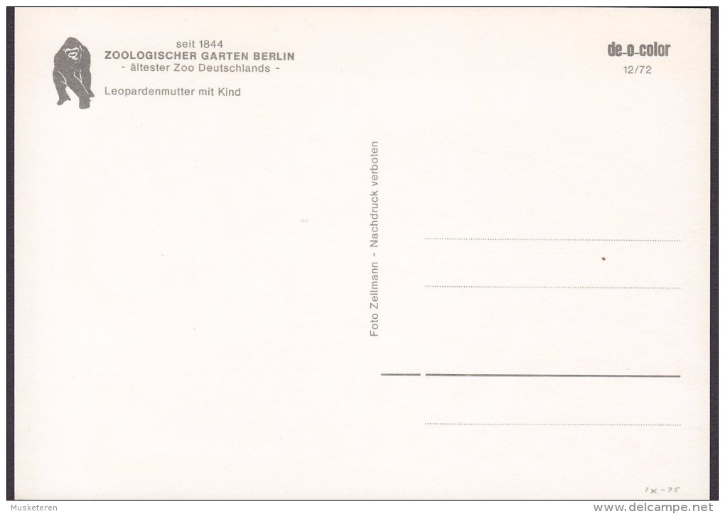 Germany PPC Zoologischer Garten Berlin Leopardenmutter Mit Kind (2 Scans) - Tiergarten