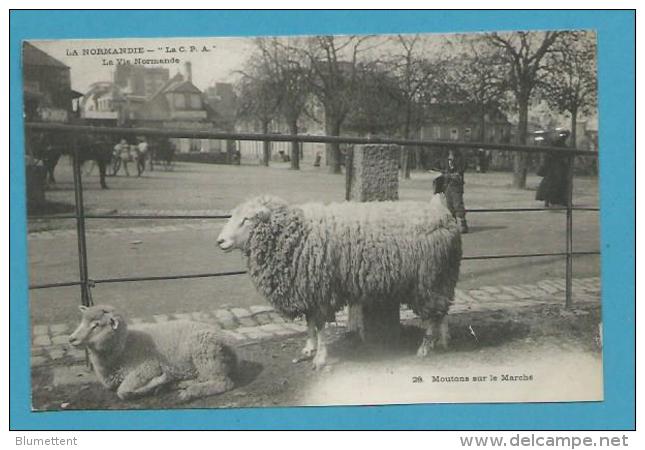 CPA 28 - LA VIE NORMANDE - Moutons Sur Le Marché - Autres & Non Classés