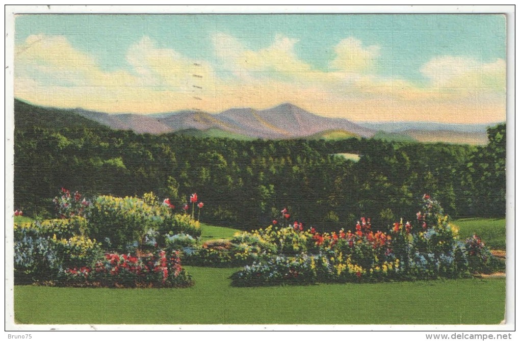 Mount Pisgah And The Rat As Seen From The Grounds Of Asheville School, Western North Carolina - 1938 - Asheville