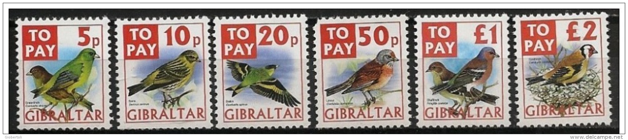 Gibilterra/Gibraltar: Uccelli Diversi, Different Birds, Différents Oiseaux - Moineaux