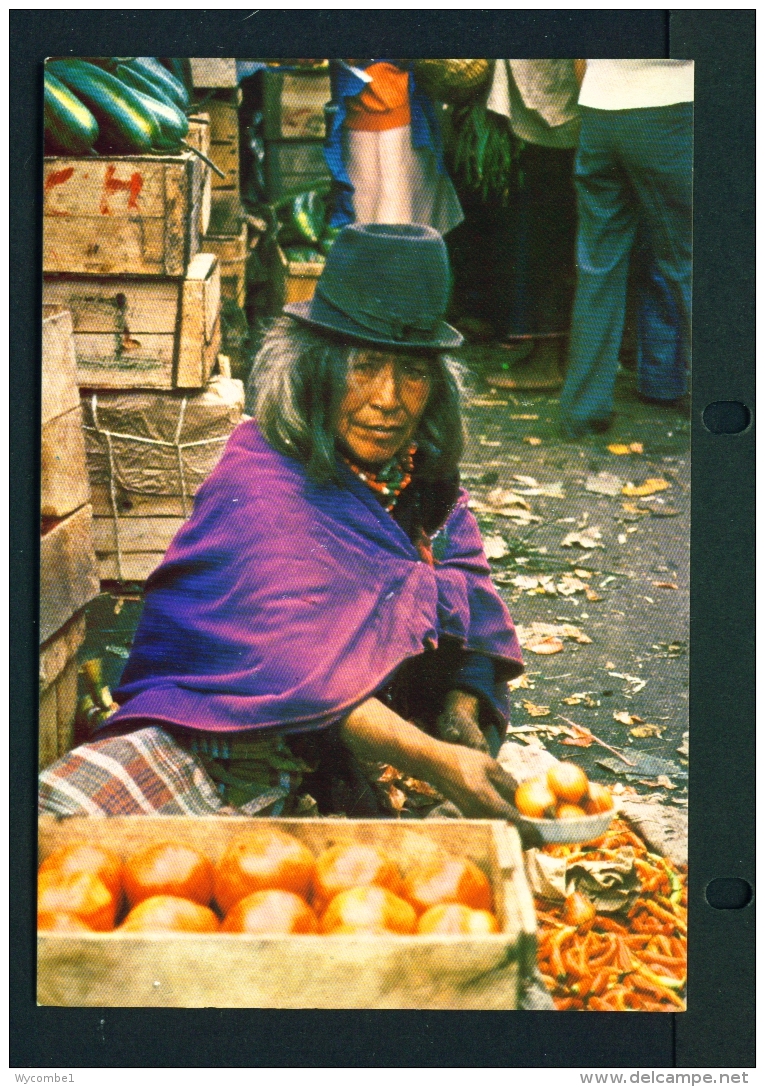 ECUADOR  -  Native Of Chimborazo Province  Unused Postcard - Ecuador