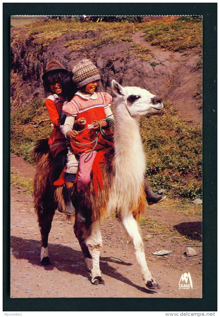 ECUADOR  -  Three Children Riding A Llama  Unused Postcard - Ecuador