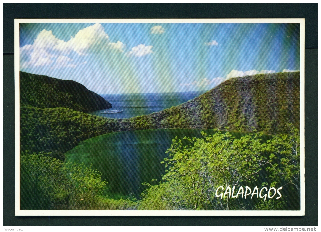 ECUADOR  -  Galapagos  Isabella Island  Darwin's Lake  Unused Postcard - Ecuador